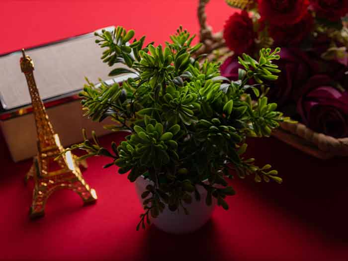 کادو خانه جدید چی ببریم چشم روشنی منزل مبارکی